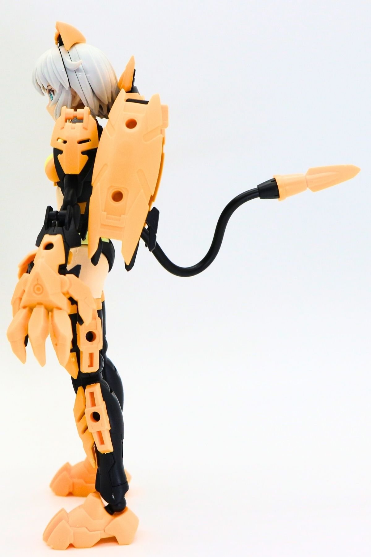 251111rishetfreesia20 (17)