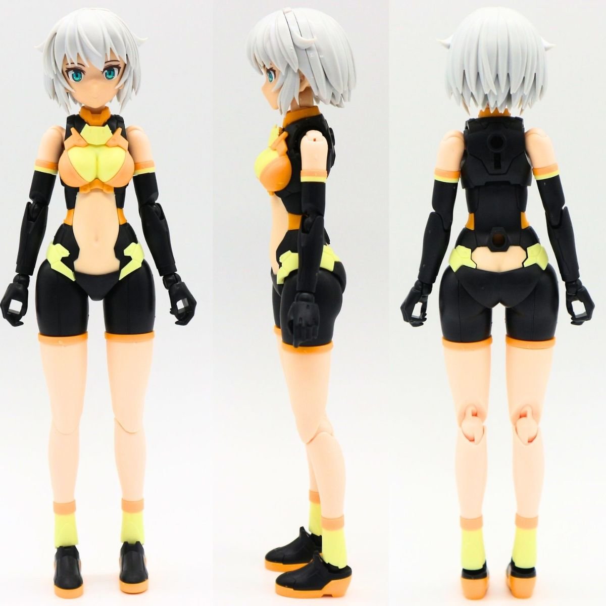 251111rishetfreesia30 (1)