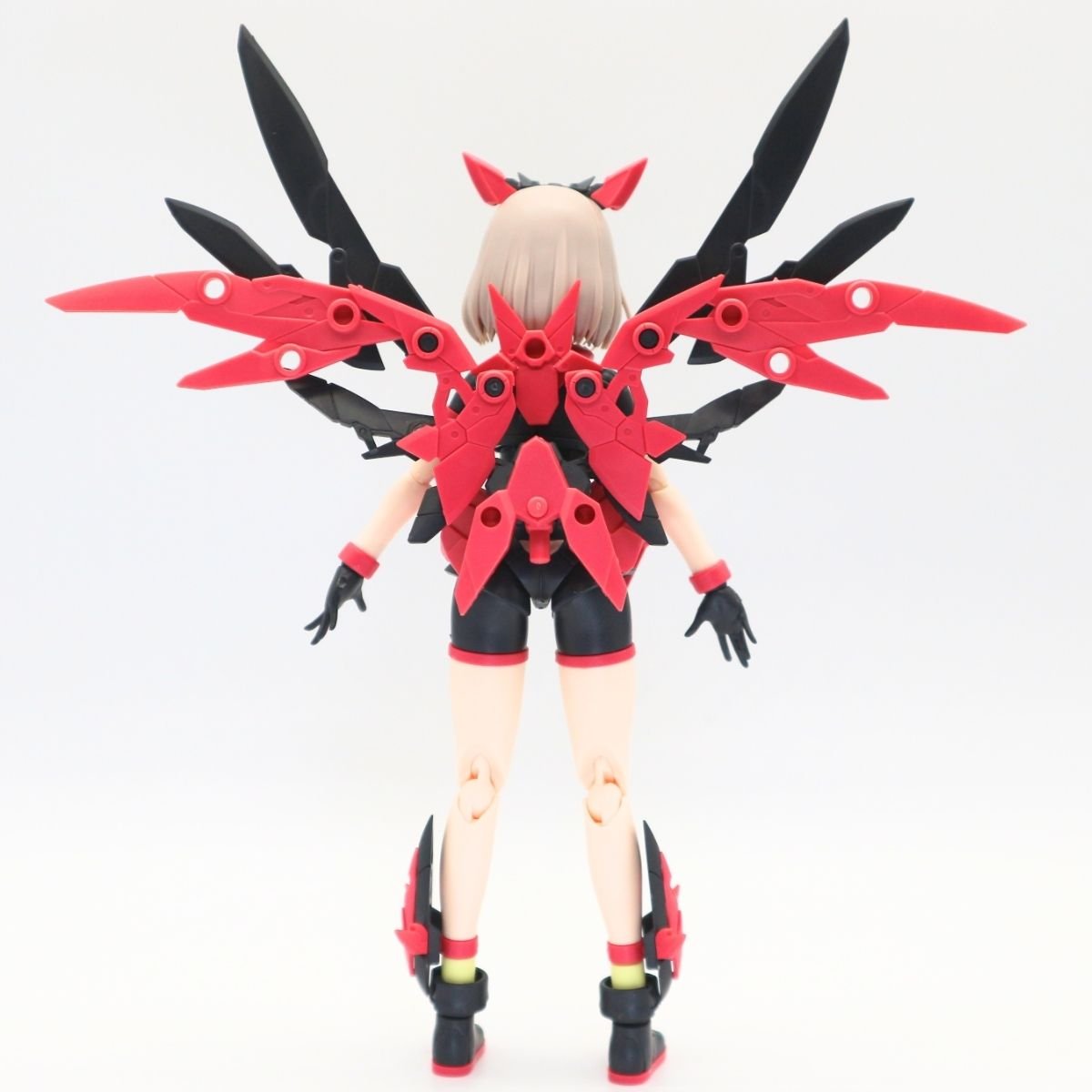 251127dariasahi01 (22)