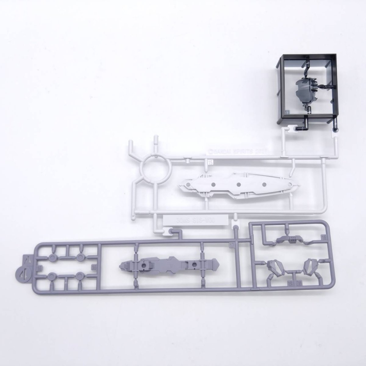 260122rishettaiglight-6