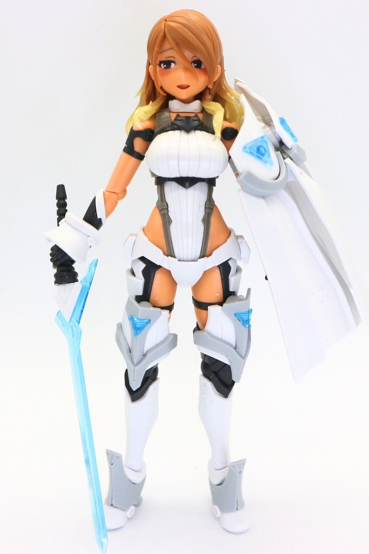 260127valkyrie0 (30)