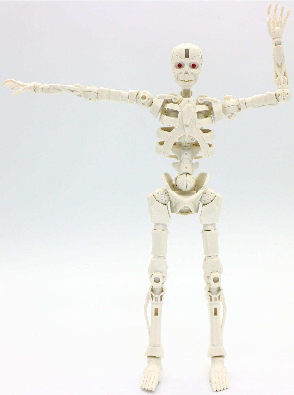 260908skeleton (13)