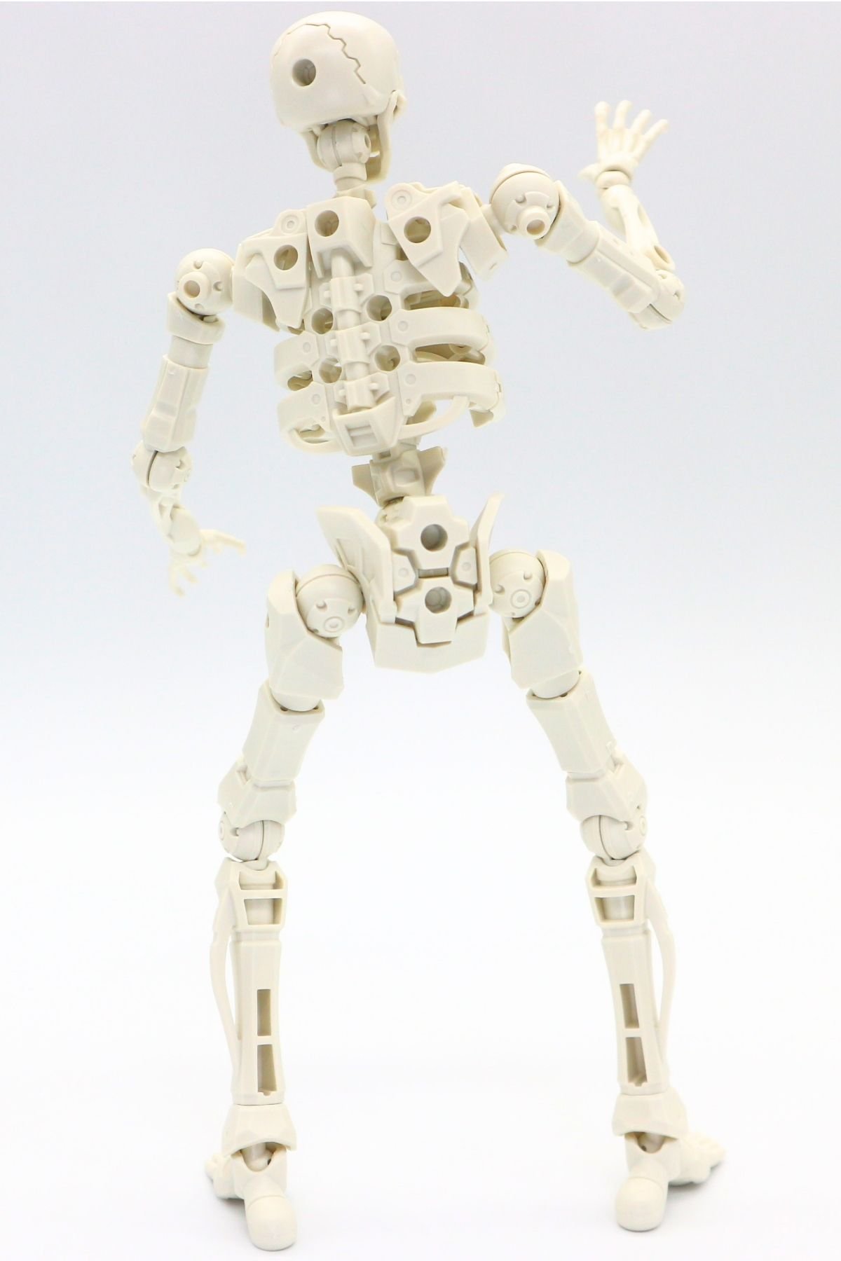 260908skeleton (15)