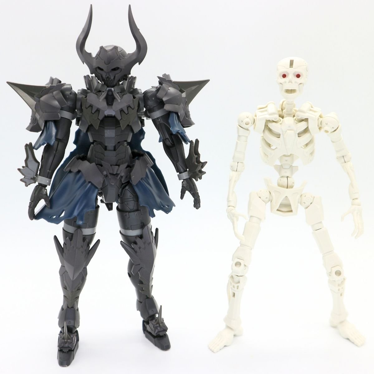 260908skeleton (27)