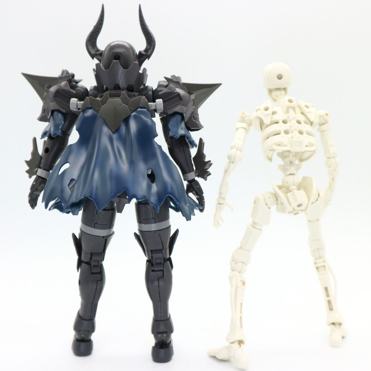 260908skeleton (28)