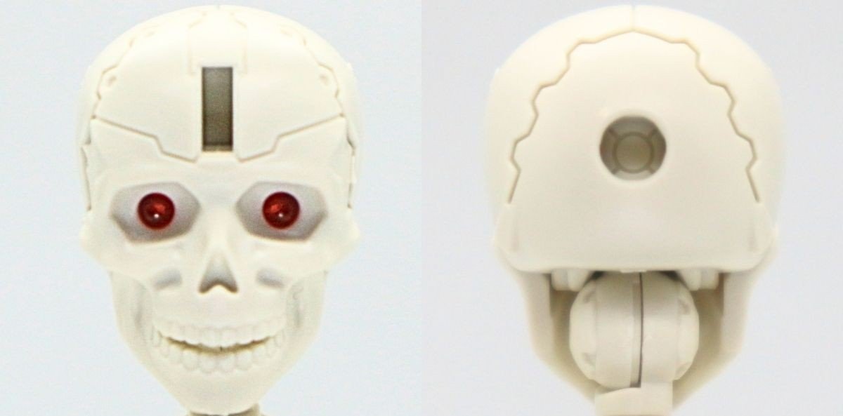 260908skeleton (3)