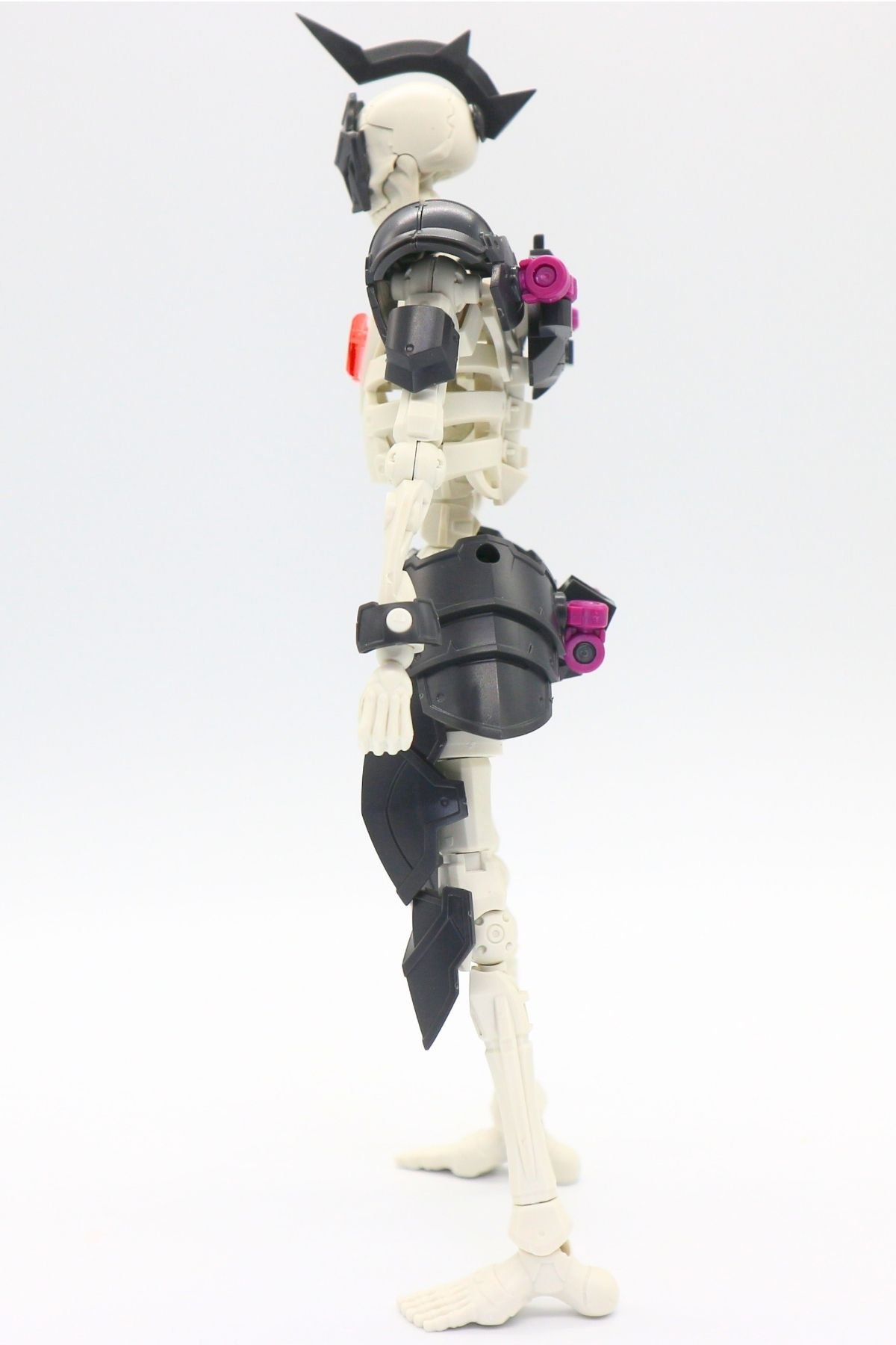 260908skeleton (31)