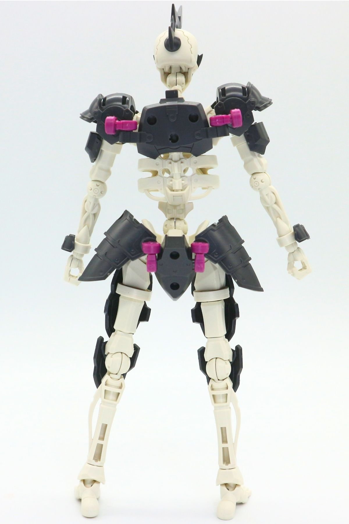 260908skeleton (32)