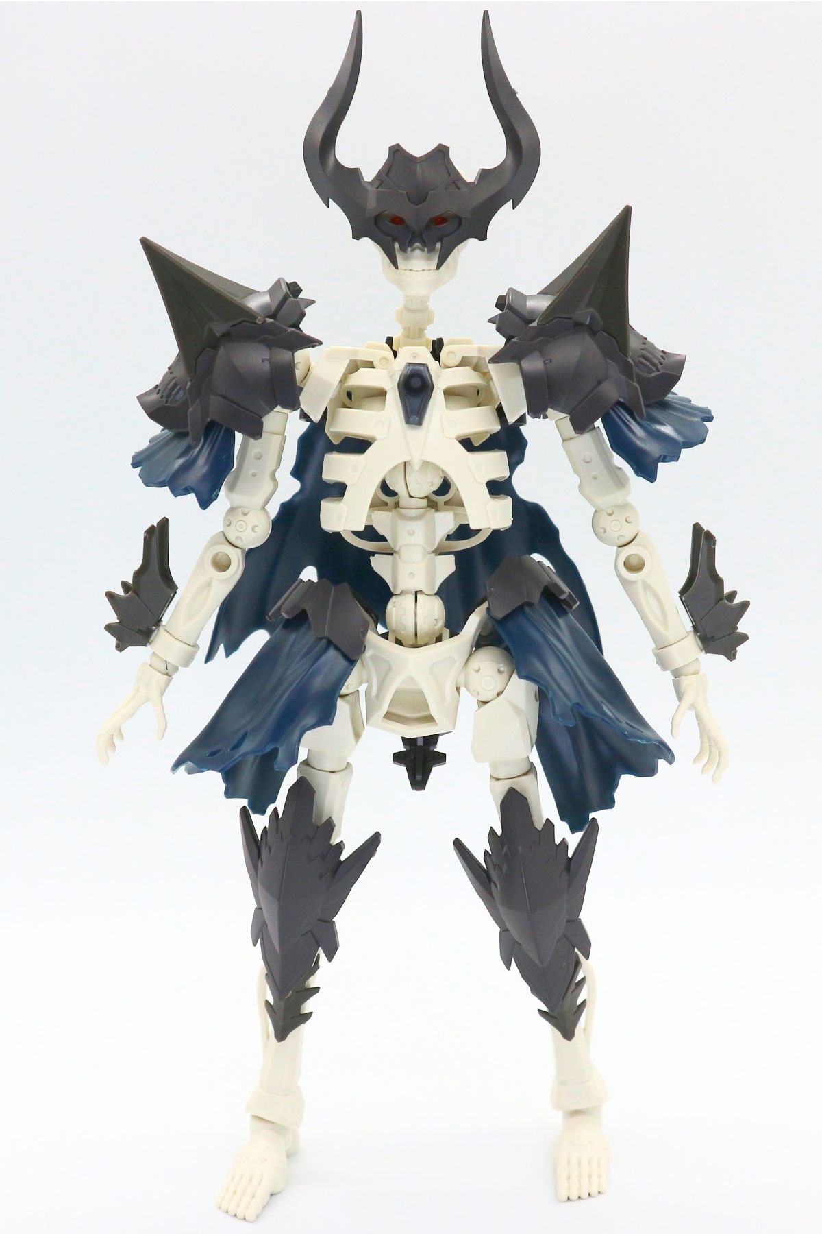 260908skeleton (34)