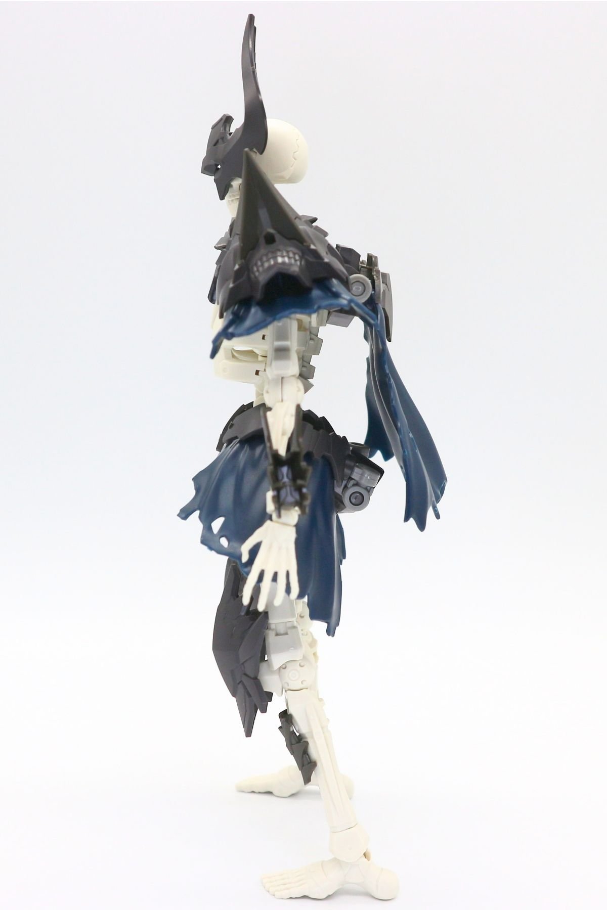 260908skeleton (35)