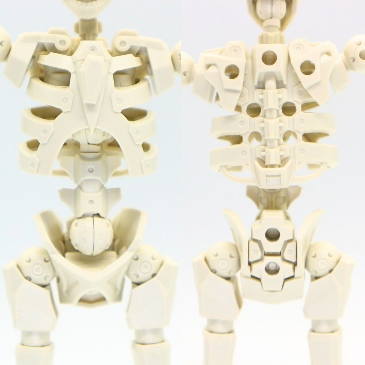260908skeleton (6)
