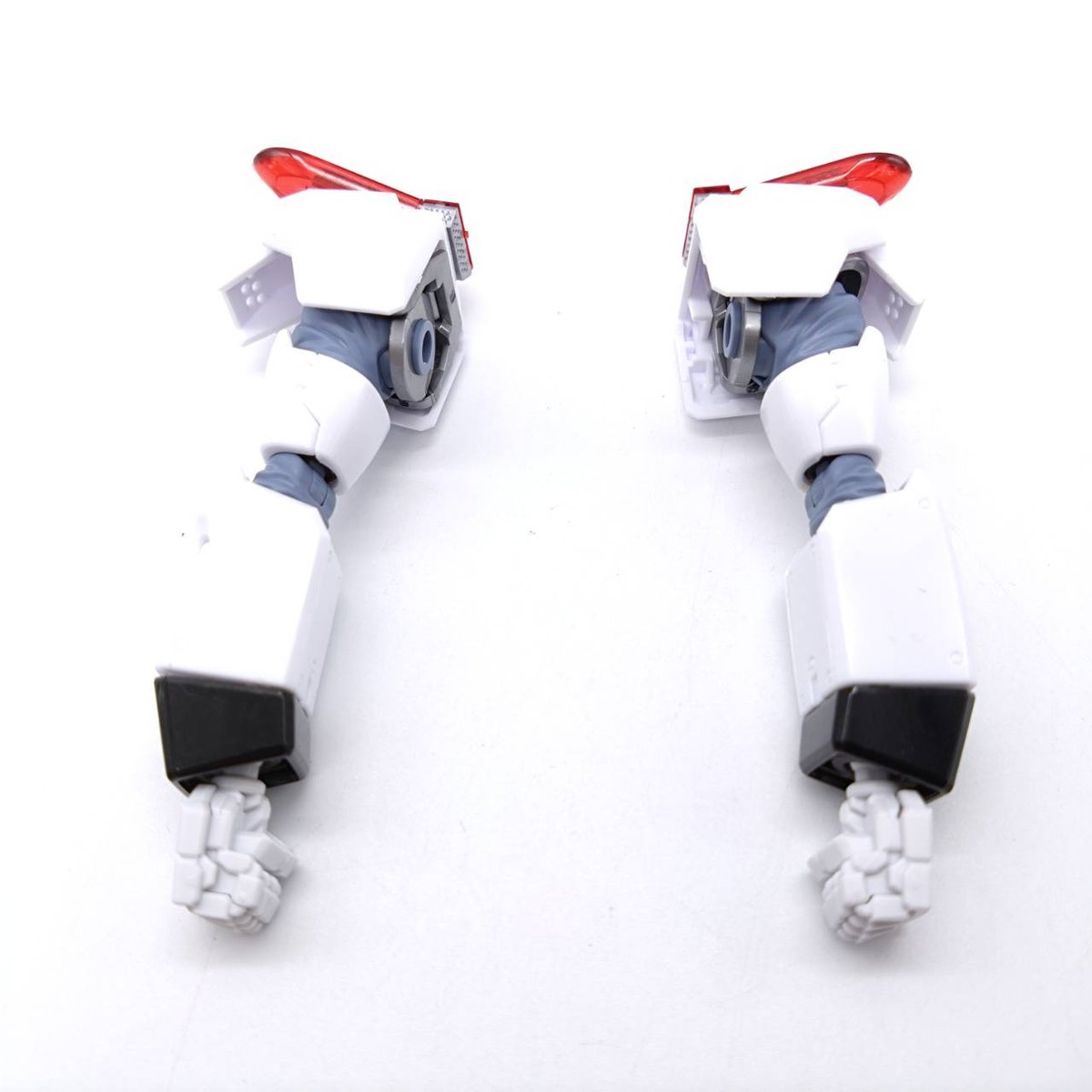 rg-ingramplus-16